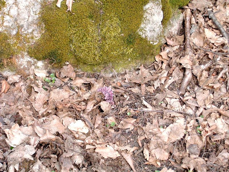 2010.03.20 030.jpg